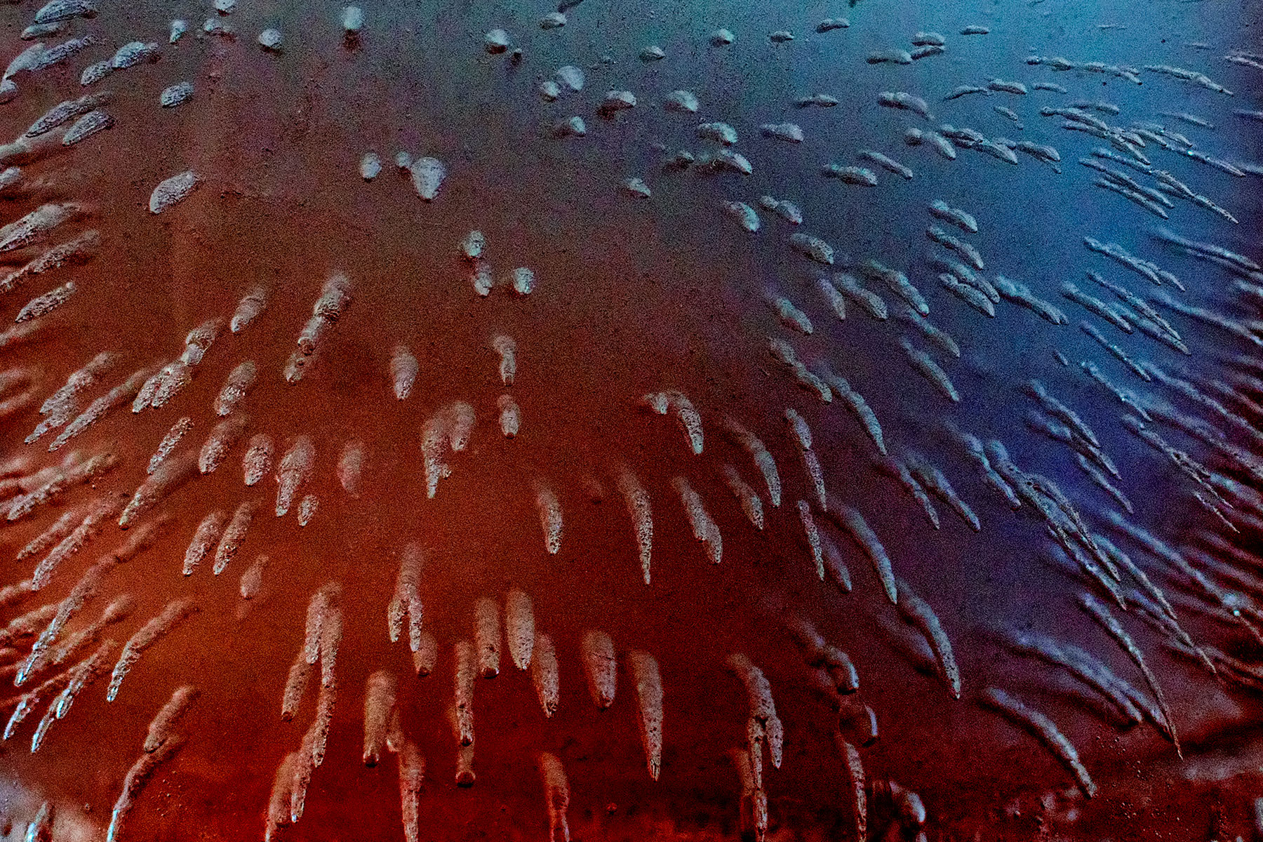 Rachel de Liefde Fotografie