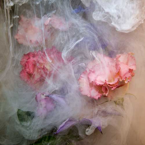 Rachel de Liefde Photography | Wallflowers |Shy