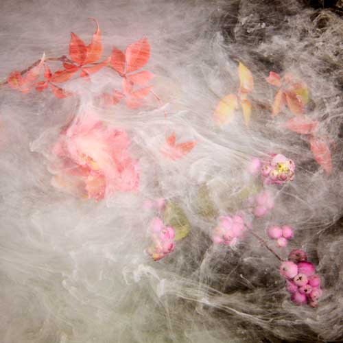 Rachel de Liefde Photography | Wallflowers |Shy